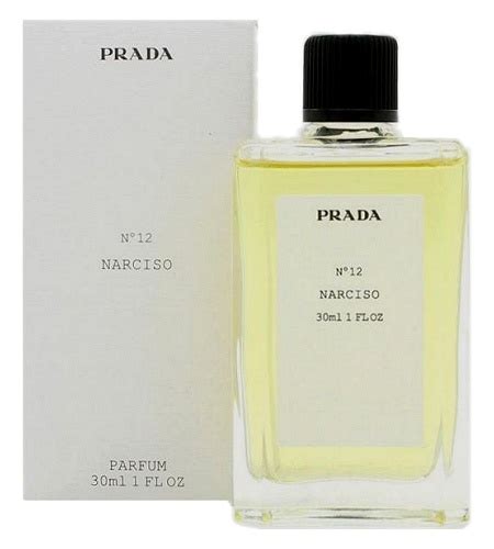 narciso prada|NARCISO Nº 12 perfume by Prada .